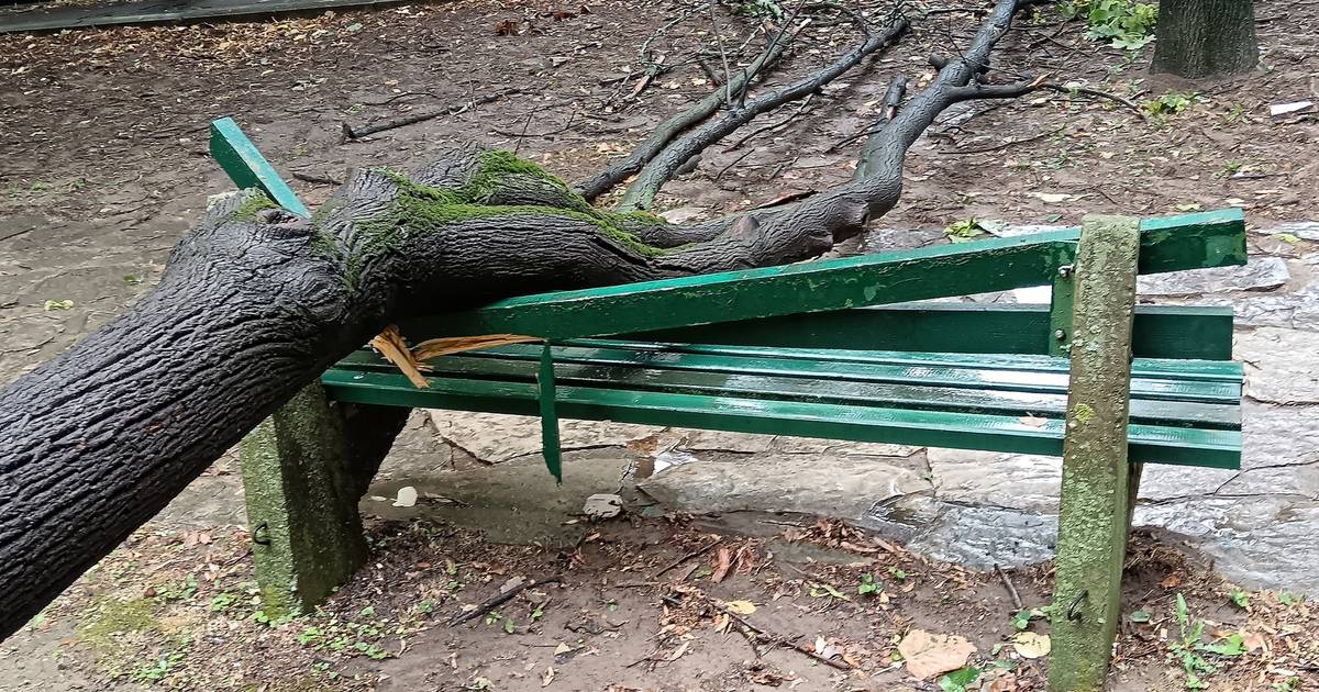 Foto Sna Na Oluja Poharala Je Beograd Ru Ila Stabla I Stvarala