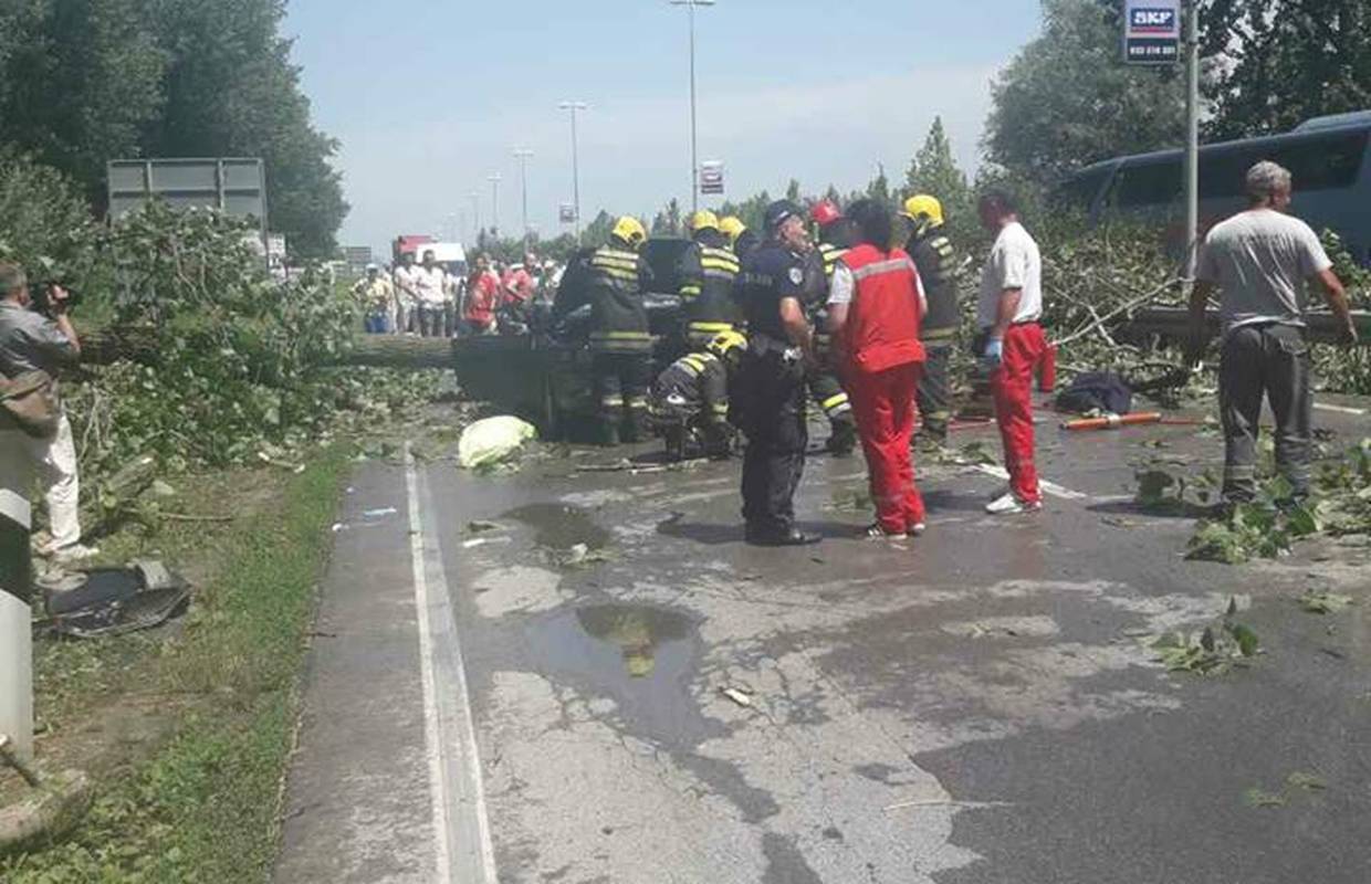 Stablo smrskalo auto Poginula žena suvozač teško ozlijeđen 24sata