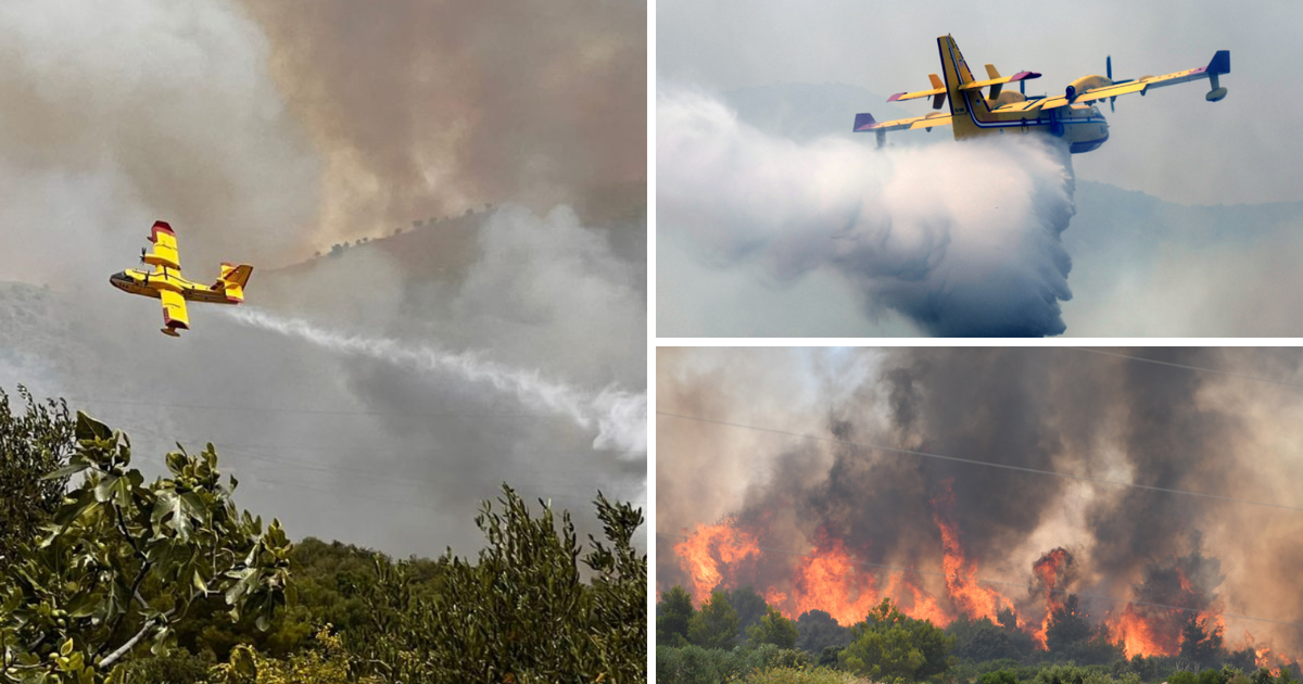 Foto Video Vatrogasci Se Bore S Velikim Po Arom U Dalmaciji Vatra Se