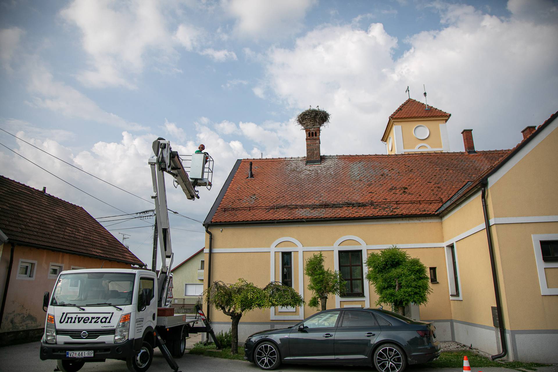 FOTO Spasili rodu nakon pada iz gnijezda u Sračincu: 'Čim smo je vratili slasno je pojela žabu'