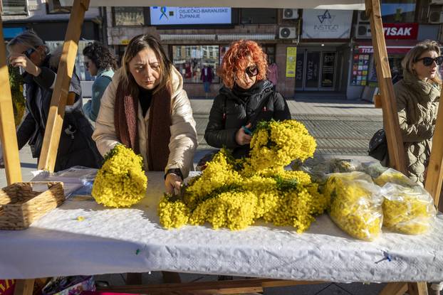 Dan mimoza obilježen je i u Osijeku