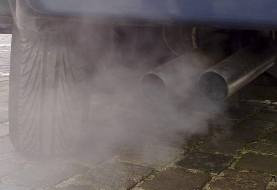 Užas: Testirali  ispušne plinove dizela na 10 majmuna i 25 ljudi