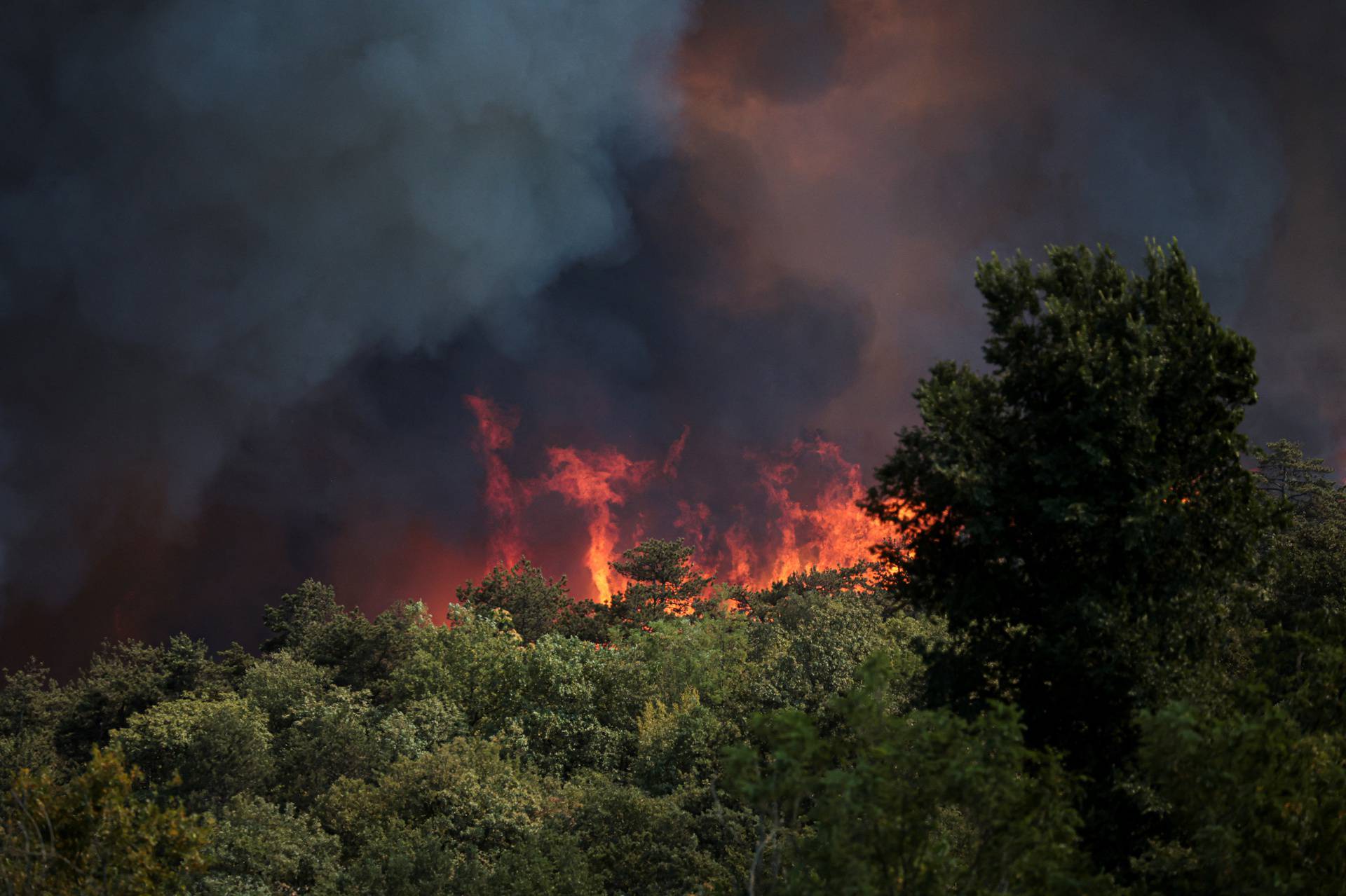 Wildfires in Italy