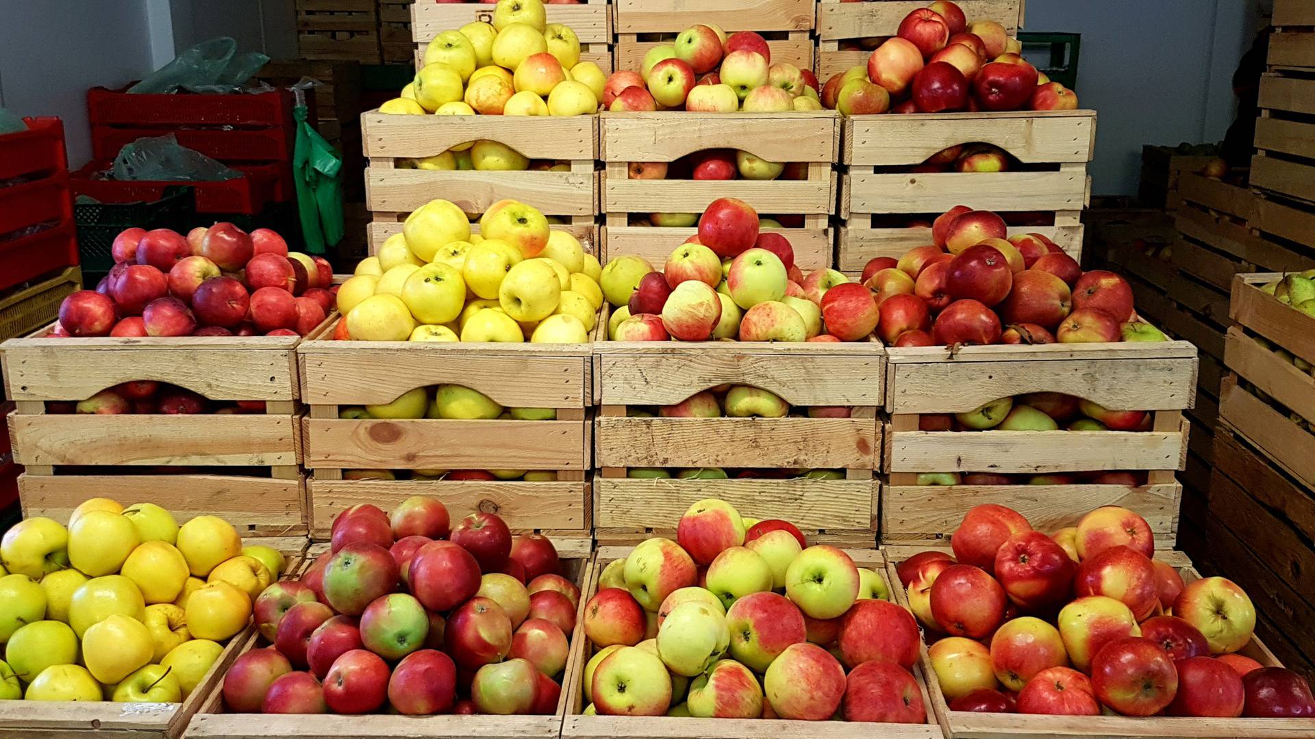 Evo kako odabrati i skladištiti jabuke da bi dulje ostale svježe