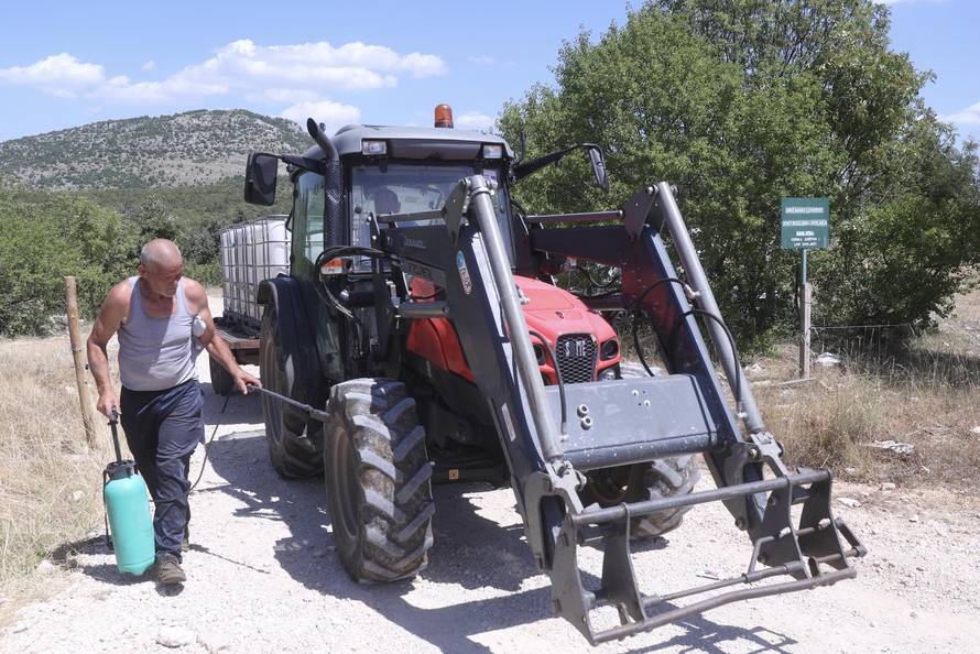Vrlika: Danas počinje cijepljenje stoke zbog bedrenice