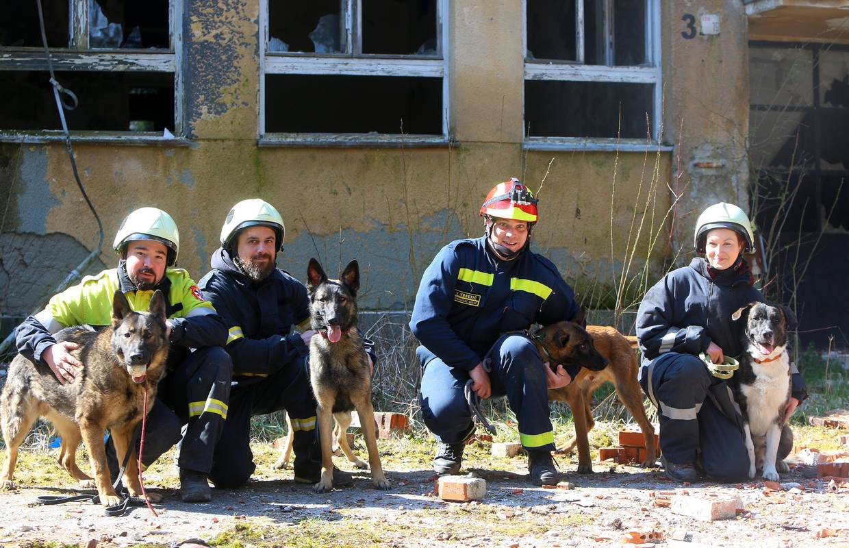 Pseći vatrogasci mogu nanjušiti ljude zatrpane ispod ruševina: 'U Petrinji su bili jako ozbiljni'
