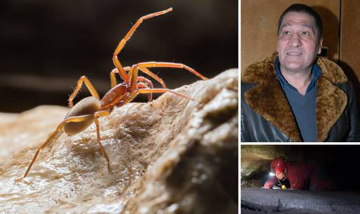 Španjolci htjeli da se misteriozni pauk iz podzemlja Biokova zove Popaj. Ali on je - Mate Parlov!