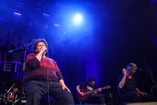 Zagreb: Koncert grupe TBF u Tvornici kulture 