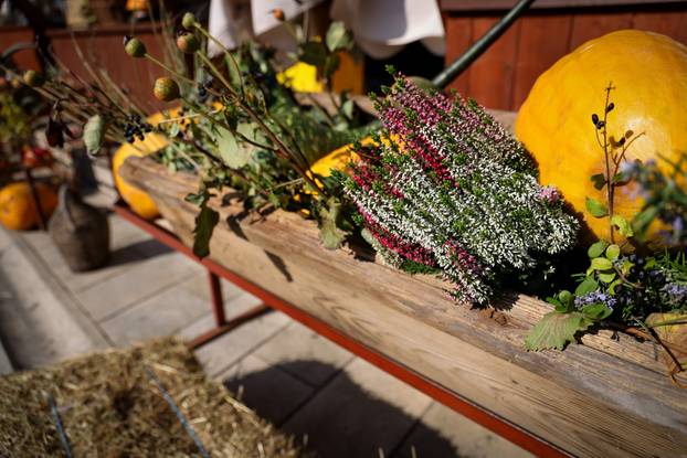 Zadar: Predsjednik Hrvatskog sabora Gordan Jandroković obišao je manifestaciju pod nazivom „Pijat na Pijaci“ 