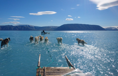 Alarmantna fotka s Grenlanda: Psi su vukli saonice kroz vodu