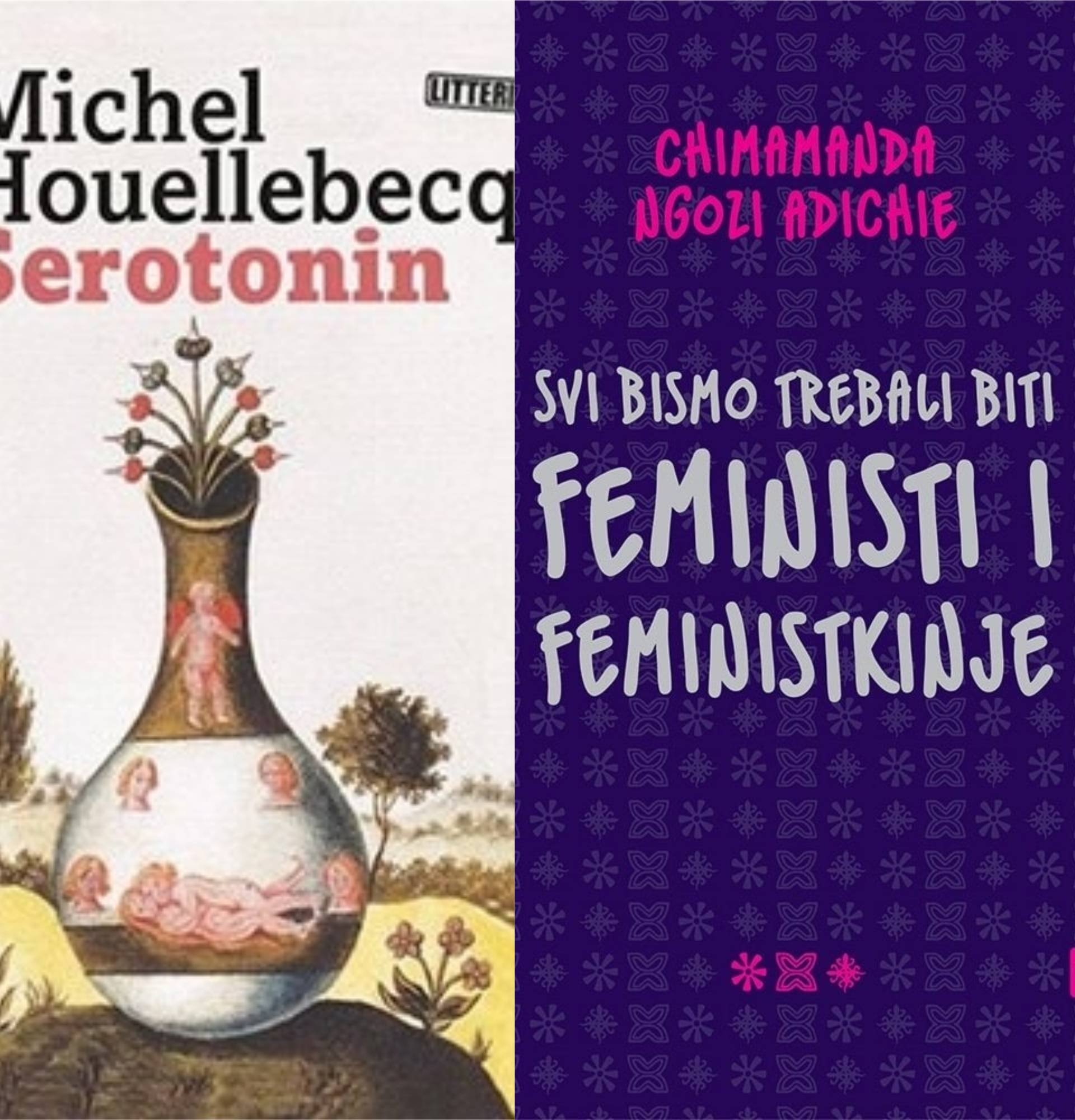 Ngozi borkinja protiv gluposti, a Houellebecq 'zaglupljuje'...