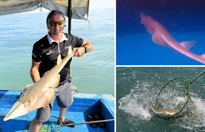 'Ovog morskog psa u Jadranu nitko nije vidio čak 50 godina. Morao sam zaplivati s njim'