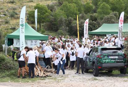 FOTO Više od tristo volontera sudjelovalo u pošumljavanju Grebaštice kod Šibenika