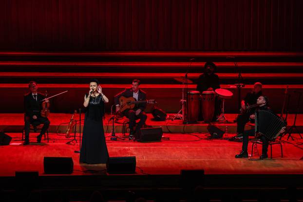 Koncert Amire Medunjanin u Lisinskom