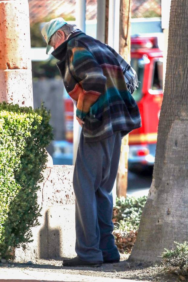 *PREMIUM-EXCLUSIVE* **WARNING-NUDITY** Gary Busey Pulls His Sweatpants Down in Public to Relieve Himself!