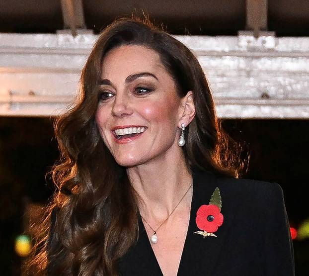 Festival of Remembrance in London