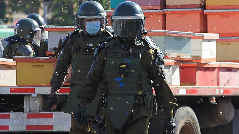Prosvjednici u Čileu postavili košnice ispred predsjednčke palače: Pčele izbole policajce