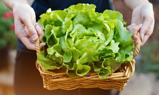 Savjeti kako da svježi peršin i salata prežive dulje u frižideru