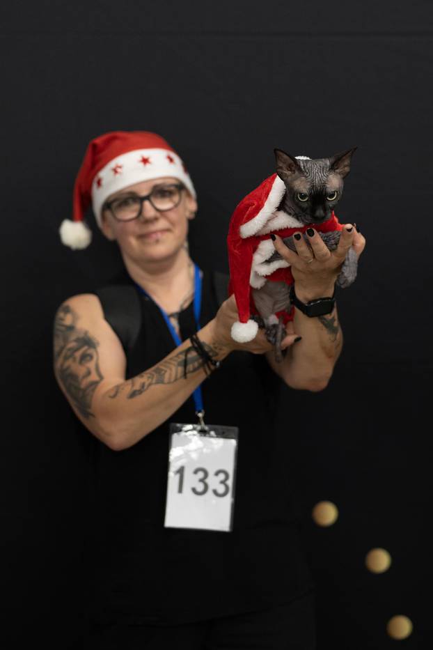 FOTO Velika izložba mačaka u Zagrebu: Predstavljene i jedinstvene modne kreacije