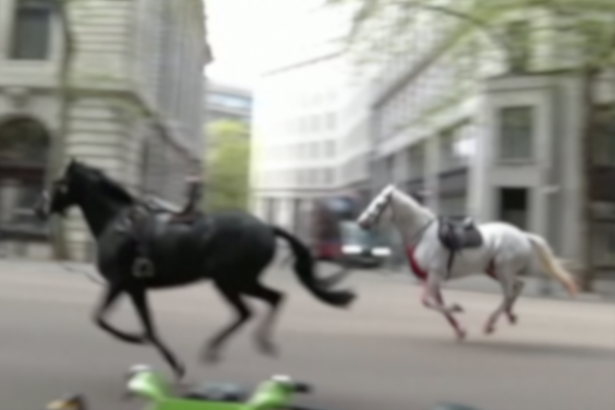 Konji bježali ulicama Londona