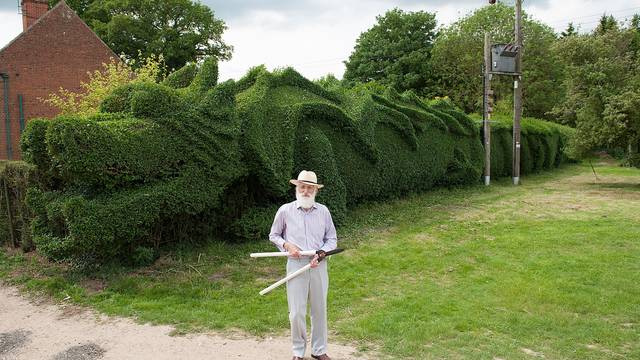 Clipping This Hedge Is A Monster Job