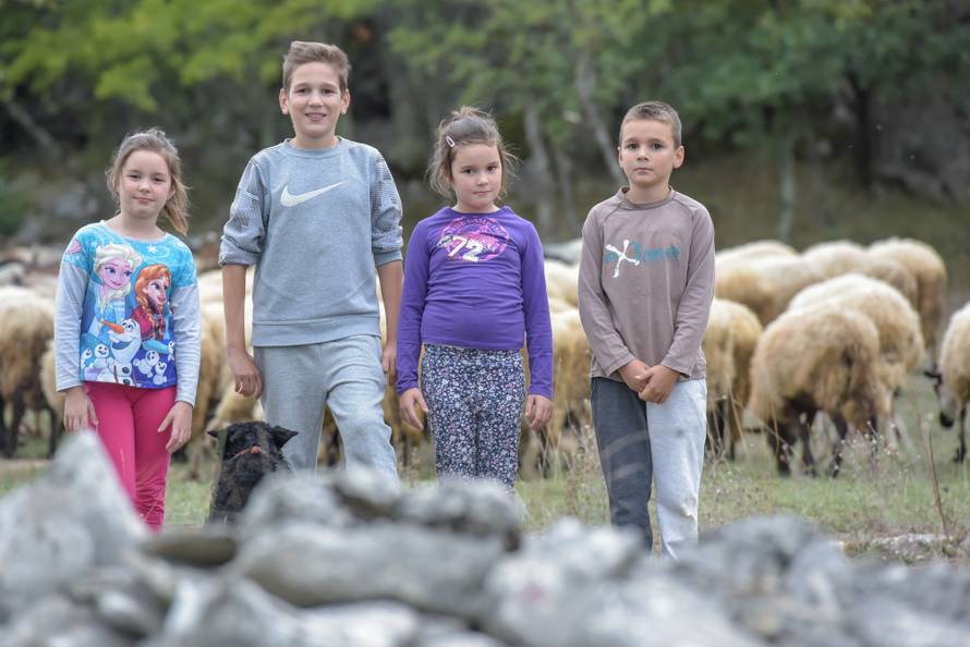 Oni su djeca pastiri: Muzemo krave, ne sjedimo za računalom