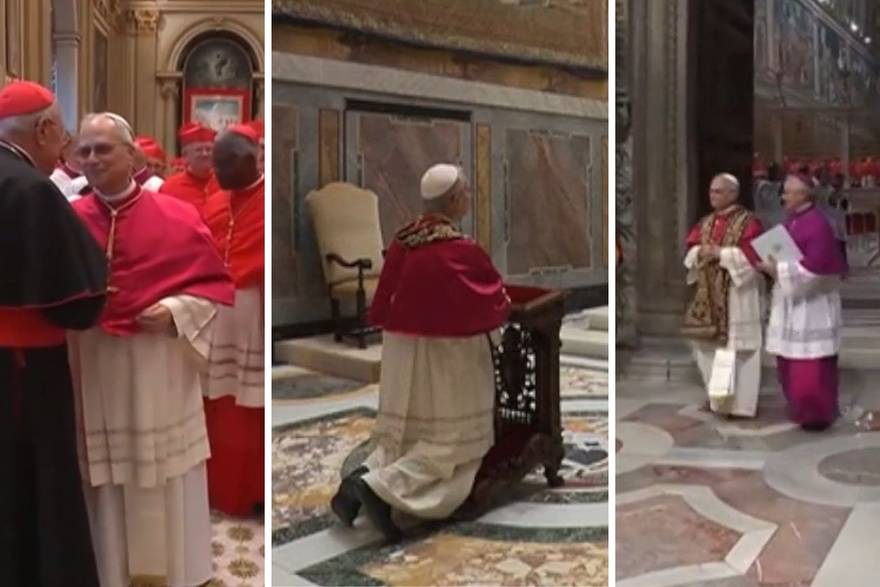 Cardinal Puljic: The first vote was very scattered. Pope Lava XIV was supported by Francis Cardinals!