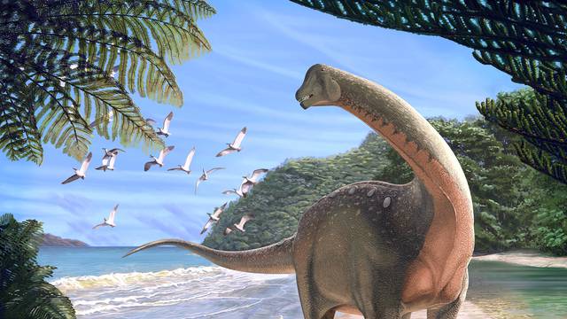 Artist's life reconstruction of the titanosaurian dinosaur Mansourasaurus shahinae on a coastline in what is now the Western Desert of Egypt approximately 80 million years ago is pictured in this handout image