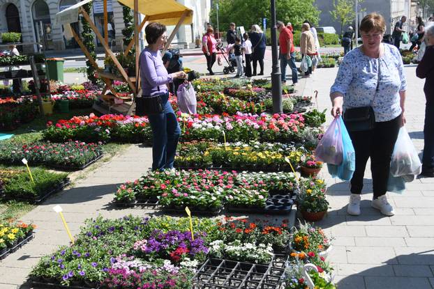 Obilježavanje Dana grada Križevaca uljepšano je cvjetnom manifestacijom "Križevci u cvijeću"