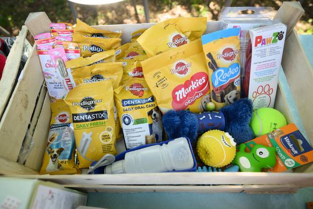 U skloništu Dumovec održan je prvi Dumovečki buvljak na kojem su građani mogli posjetiti sklonište te upoznati pse i mačke