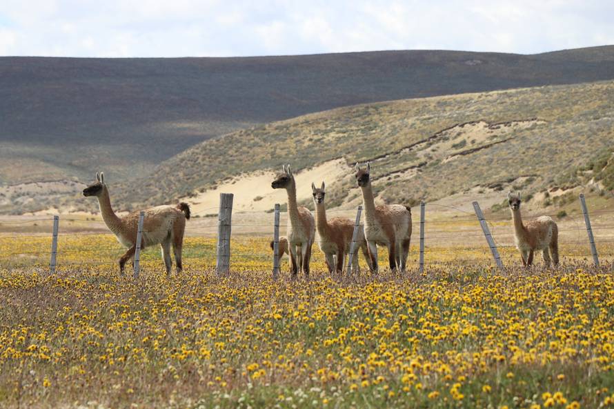 Putevi zlata starih Hrvata: Bili smo u rudniku Ognjene zemlje