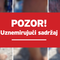 Novi napad kornjače na Čiovu: 'Agresivno je plivala, žena je u šoku, cijela noga joj je krvava'