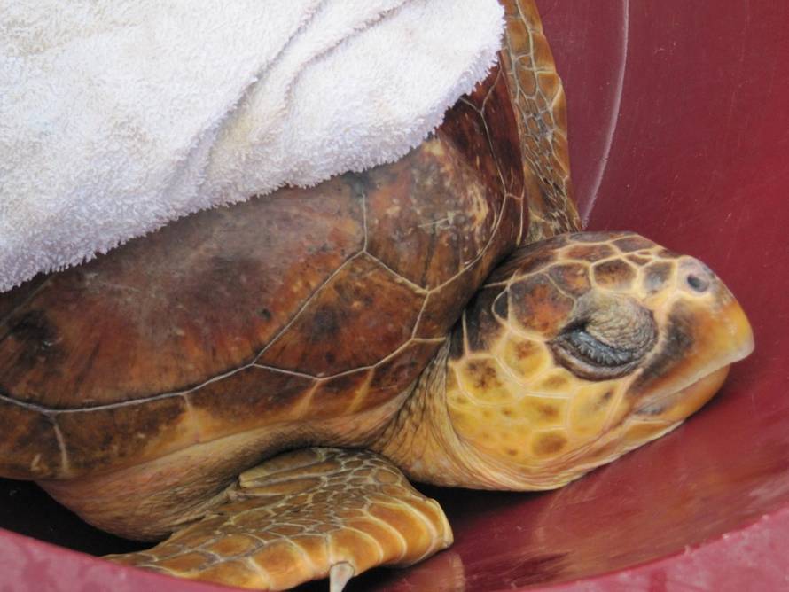 Dijana Marić/24sata