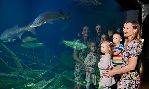 Zaronite ispod površine rijeke – posjetite jedini slatkovodni akvarij u Hrvatskoj!