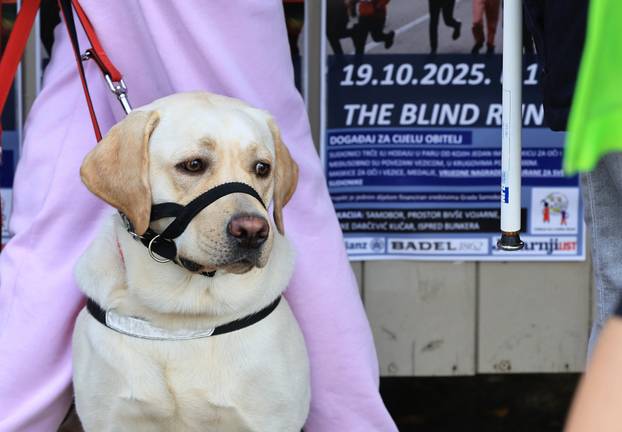Samobor: Humanitarni projekt "The Blind Run 5" u sklopu obilježavanja svjetskog dana slijepih i slabovidnih osoba