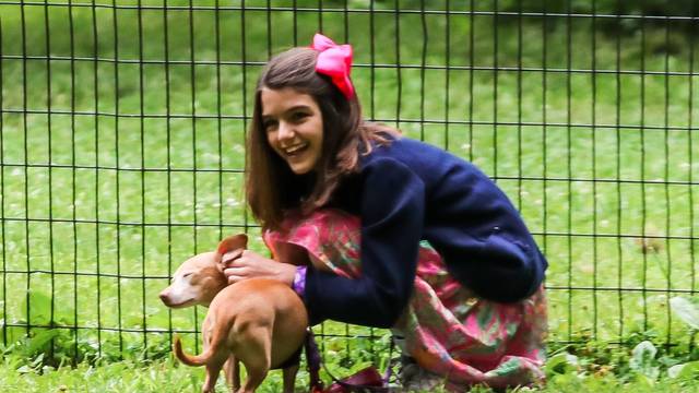 Injured Suri Cruise takes her dogs to the park in NYC