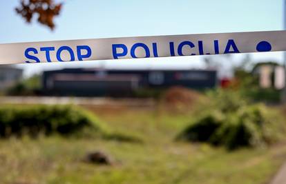 Sud potvrdio optužnicu protiv muškarca zbog silovanja ovce: Pretukli su ga lažni Panteri