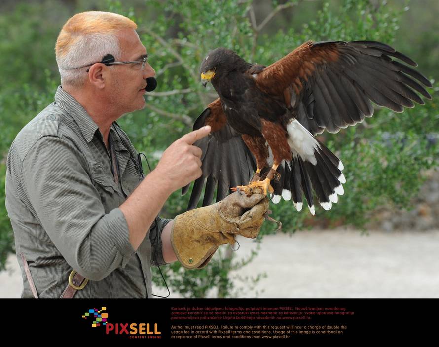 Hrvoje Jelavić/Pixsell