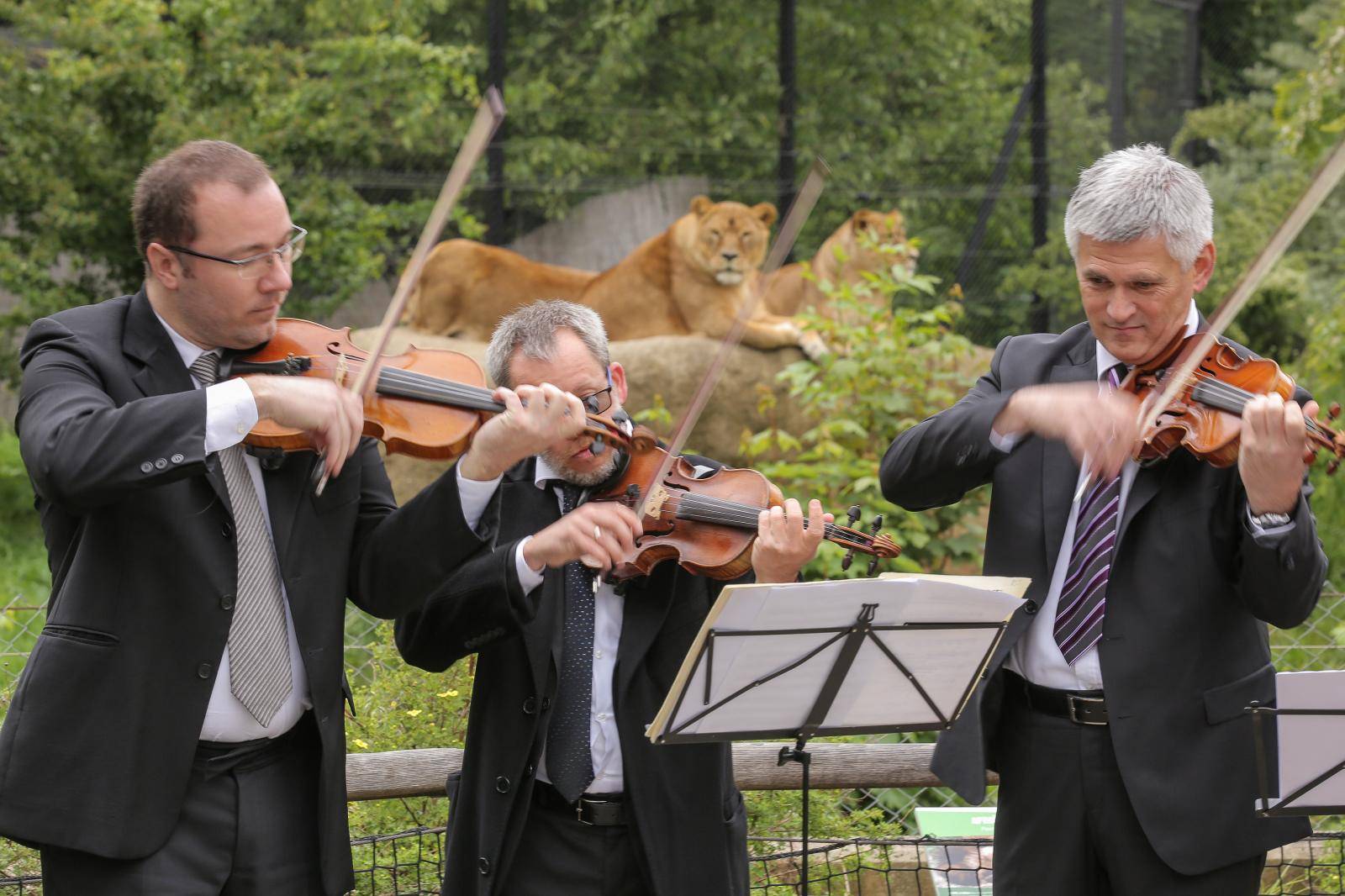 Zagreb: Koncert ZagrebaÄkih solista u ZooloÅ¡kom vrtu