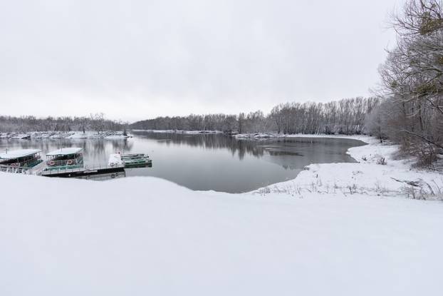 Kopački rit: Zimska idila u Baranji 