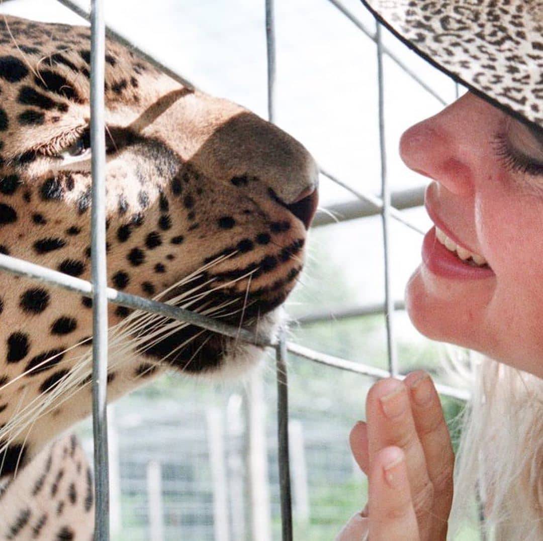 Luda za egzotičnim životinjama: Carole pozira s tigrovima, a sva odjeća joj s uzorkom leoparda...