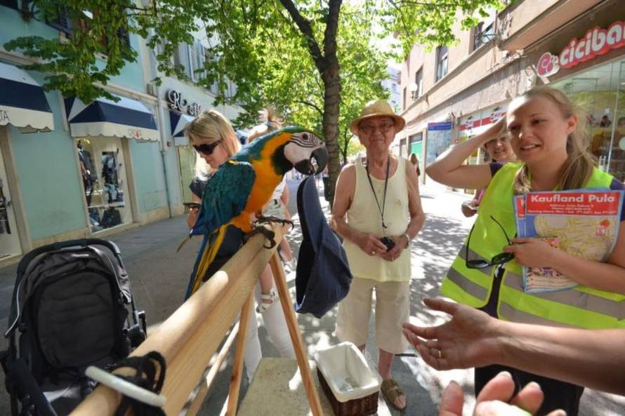 Duško Marušić/PIXSELL 