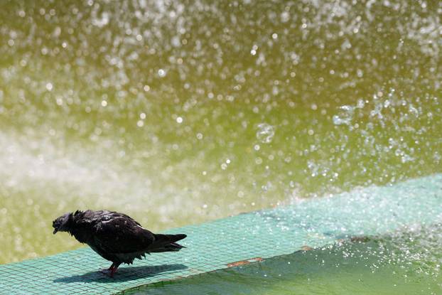 Vrućine u Francuskoj.