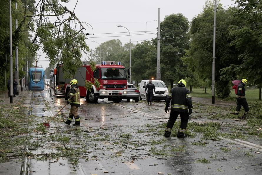 Zagreb: Palo stablo na Maksimirskoj, blokiran promet, vatrogasci na terenu