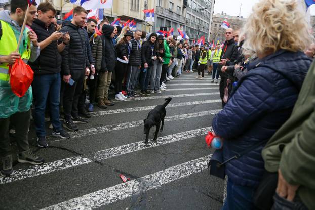 Počeo vjerojatno najveći prosvjed u povijesti Srbije "15 za 15"