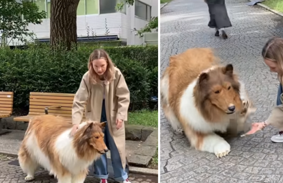 Japanac odjeven u kostim psa vrijedan preko 14 tisuća eura šeta ulicom: Želim biti životinja!