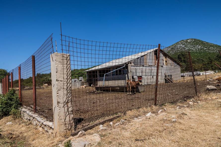 Gornje Maovice: Mjesto gdje je potvrđen slučaj bedrenice
