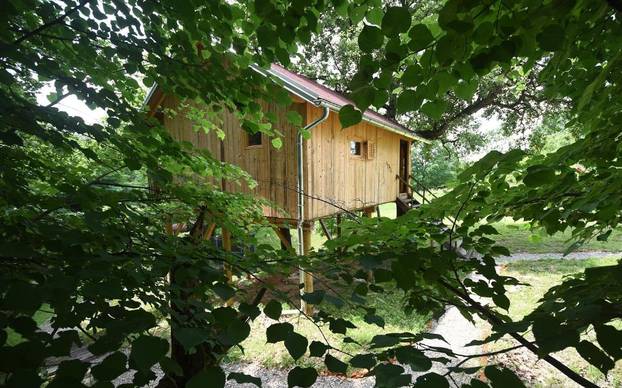 FOTO Ako trebate potpuni reset: Kućica na drvetu uz Mrežnicu nudi odmor za um i tijelo
