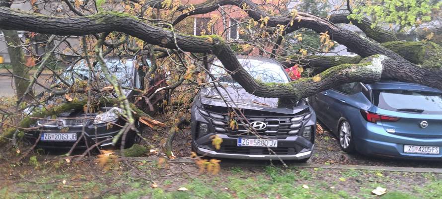 Evo koliko su vatrogasci imali intervencija zbog oluje