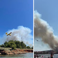 VIDEO Izbio je veliki požar na otoku Viru: 'Gori šuma u blizini kuća, požar gase kanaderi'